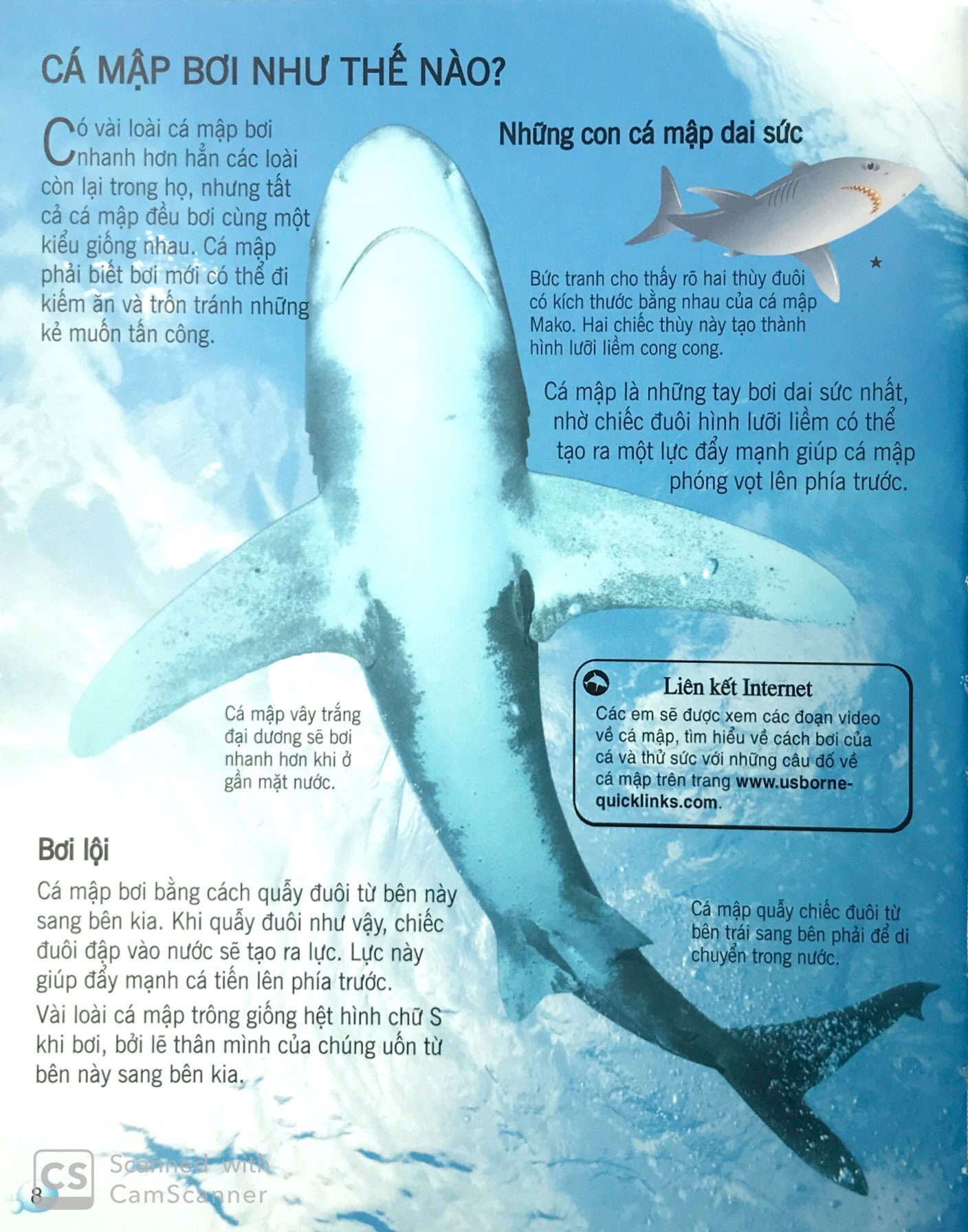 bách khoa tri thức về khám phá thế giới cho trẻ em - cá mập (tái bản 2018)