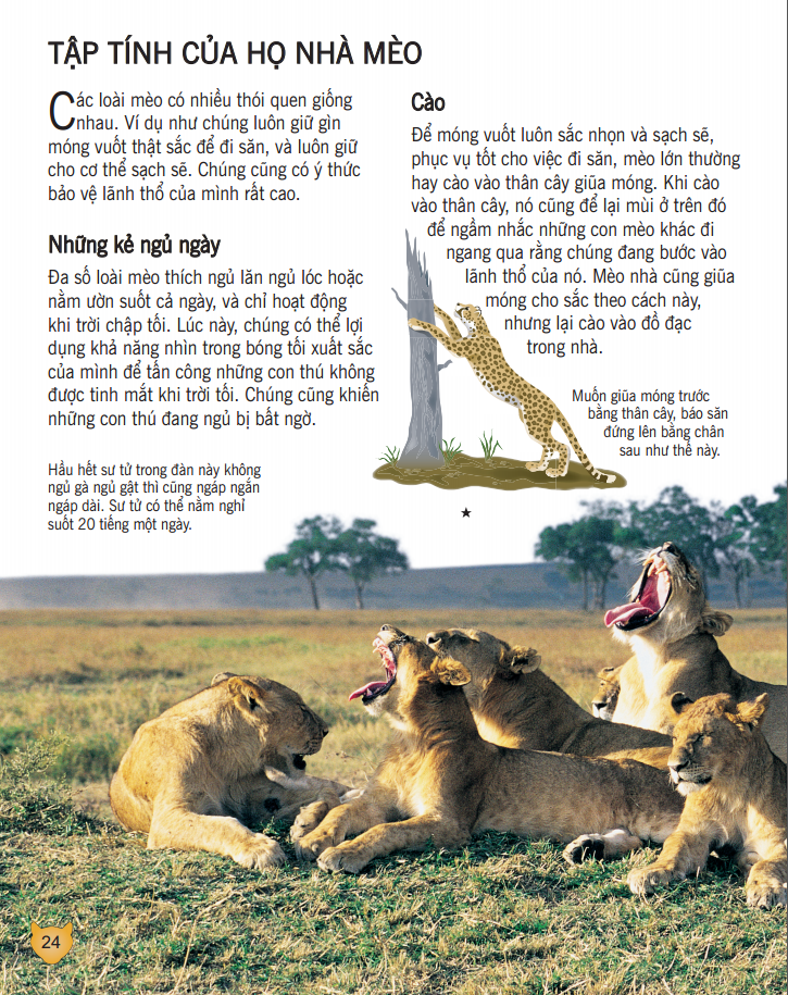 bách khoa tri thức về khám phá thế giới cho trẻ em - các loài mèo lớn (bìa mềm - tái bản 2018)