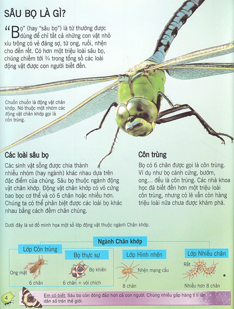 bách khoa tri thức về khám phá thế giới cho trẻ em - các loài sâu bọ (2017)