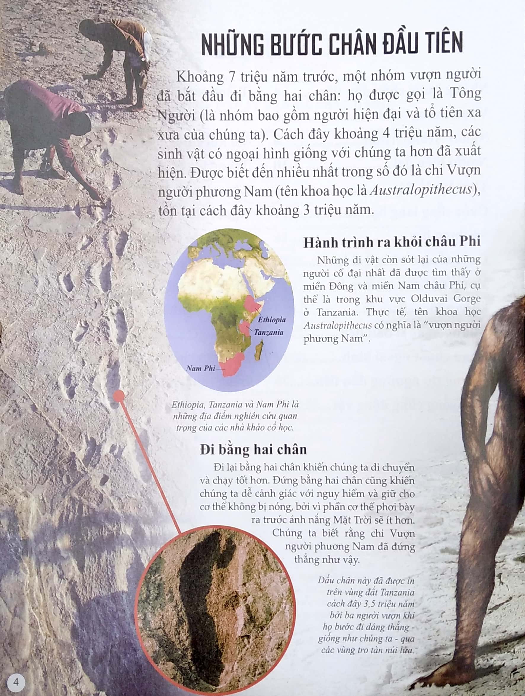 bách khoa tri thức về khám phá thế giới cho trẻ em - early people - người cổ đại