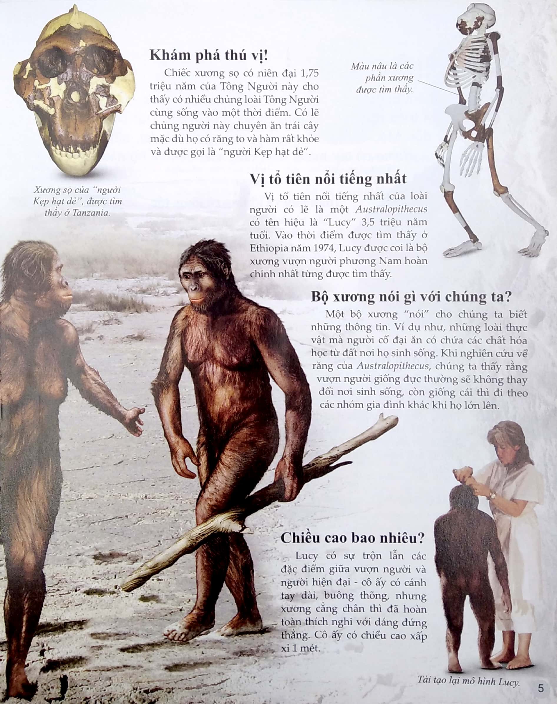 bách khoa tri thức về khám phá thế giới cho trẻ em - early people - người cổ đại