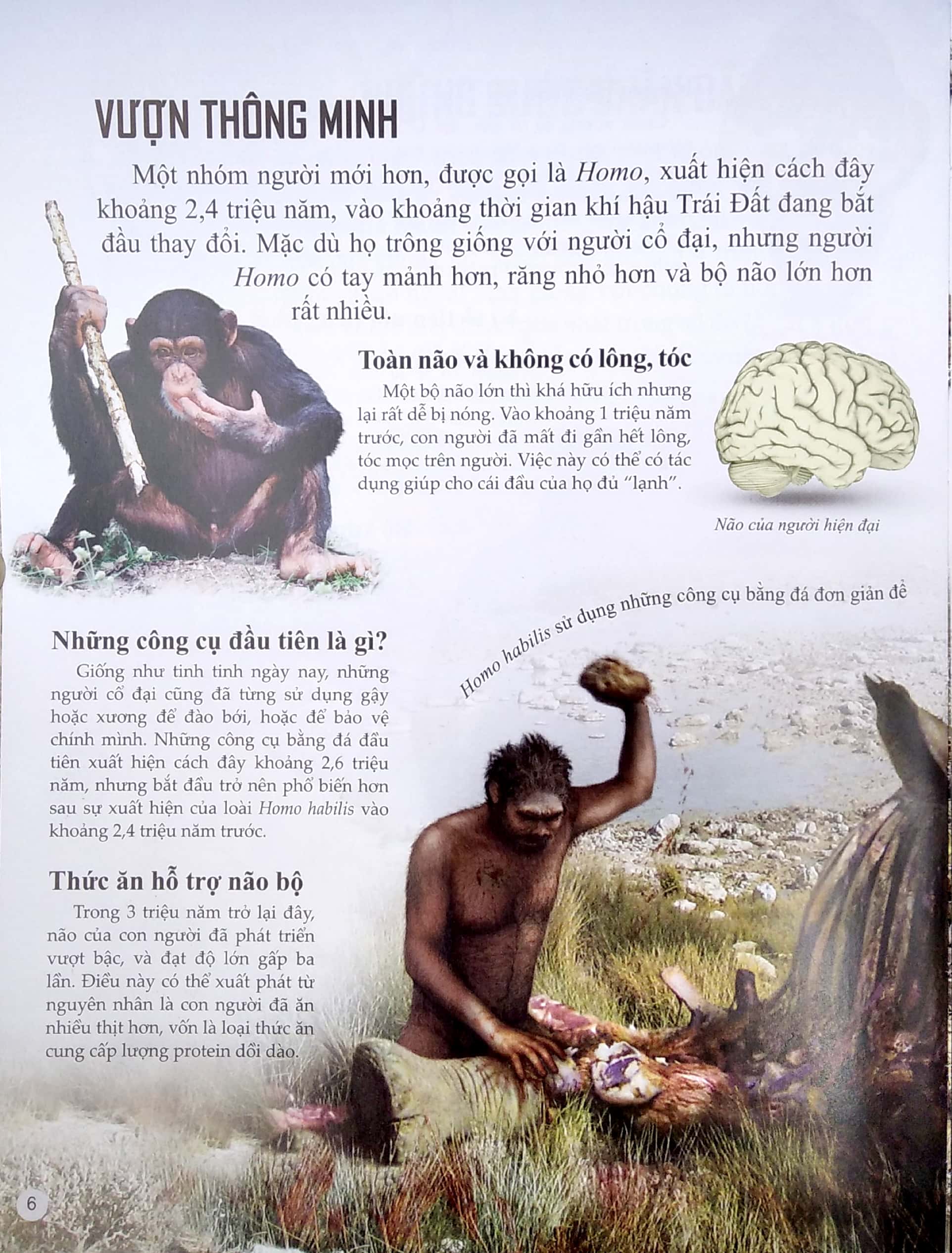 bách khoa tri thức về khám phá thế giới cho trẻ em - early people - người cổ đại