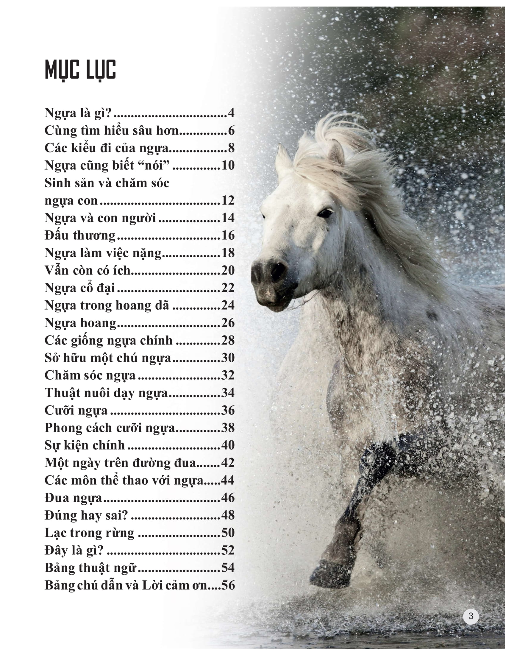 bách khoa tri thức về khám phá thế giới cho trẻ em - horses and ponies - loài ngựa