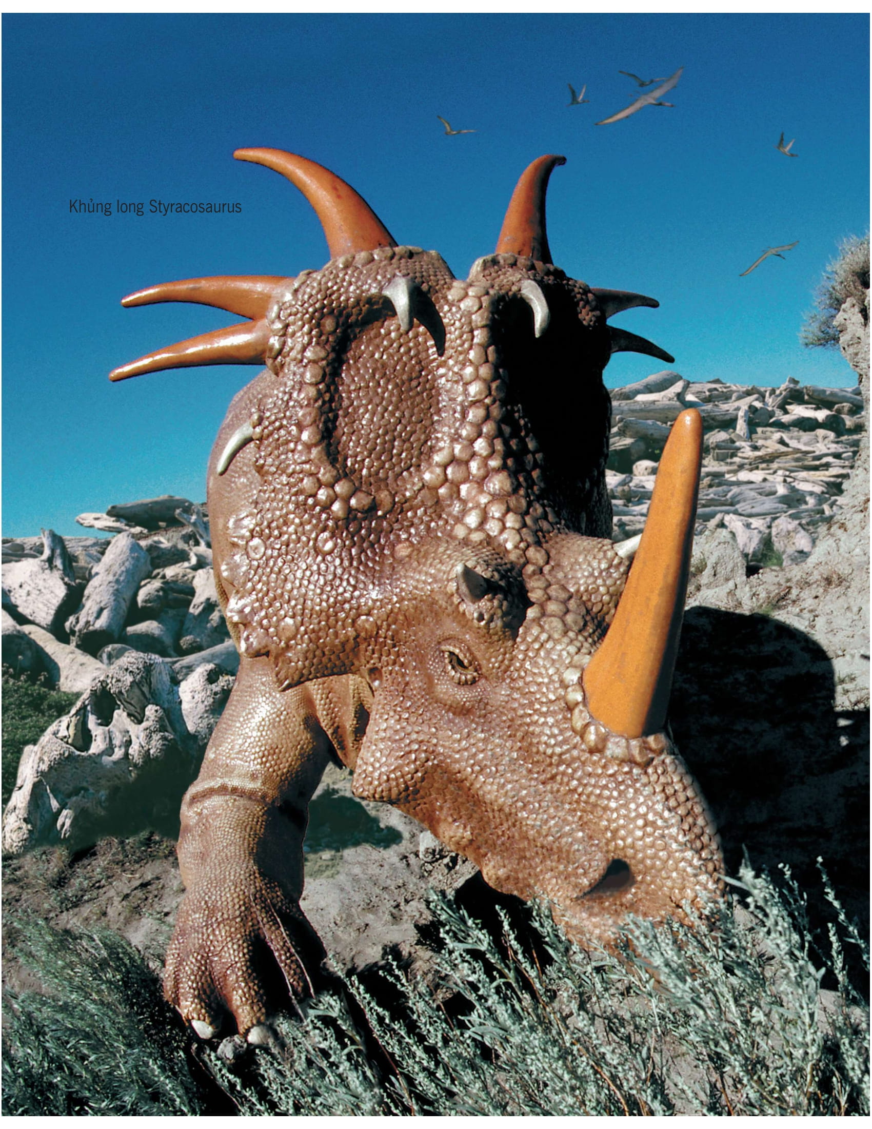 bách khoa tri thức về khám phá thế giới cho trẻ em - khủng long (tái bản 2020)