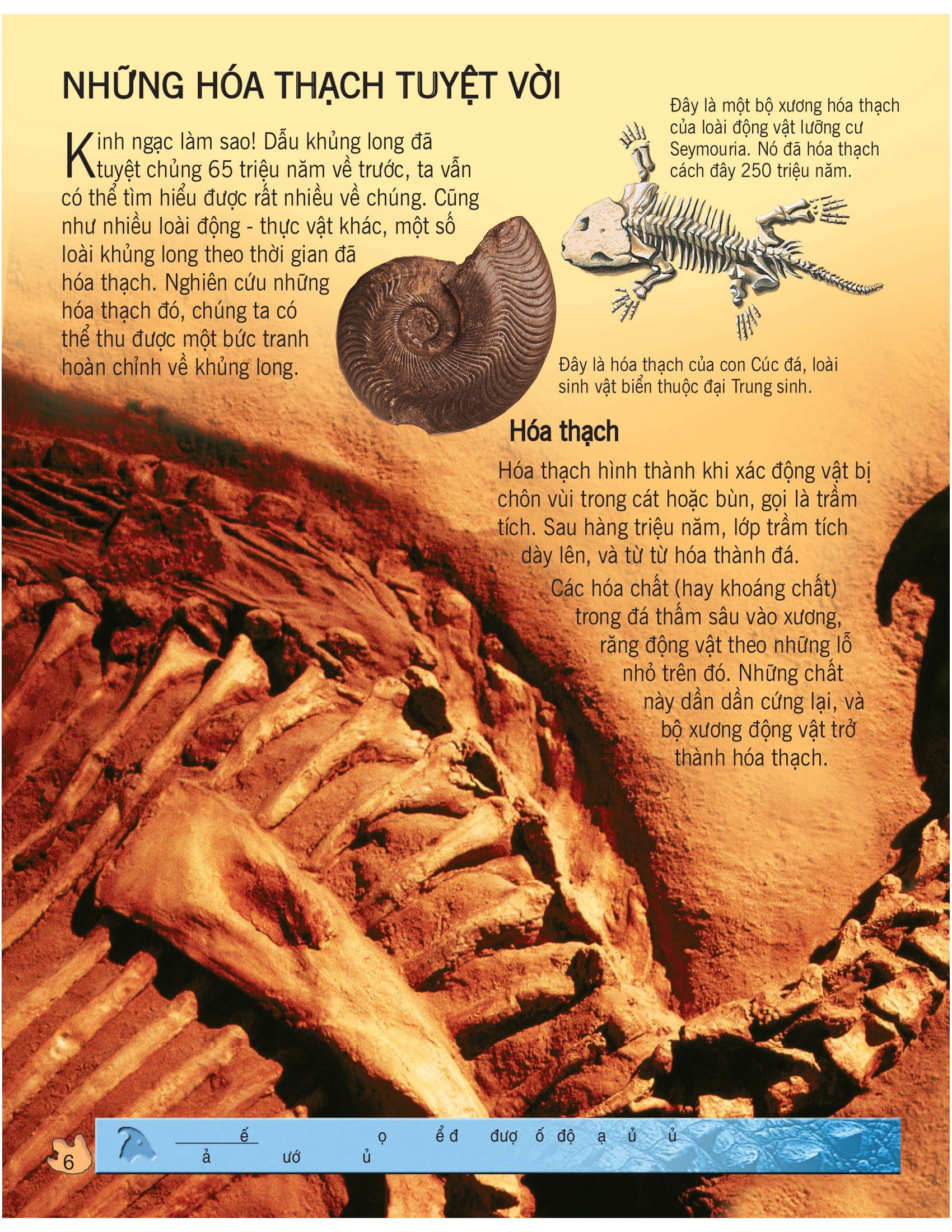 bách khoa tri thức về khám phá thế giới cho trẻ em - khủng long (tái bản 2020)