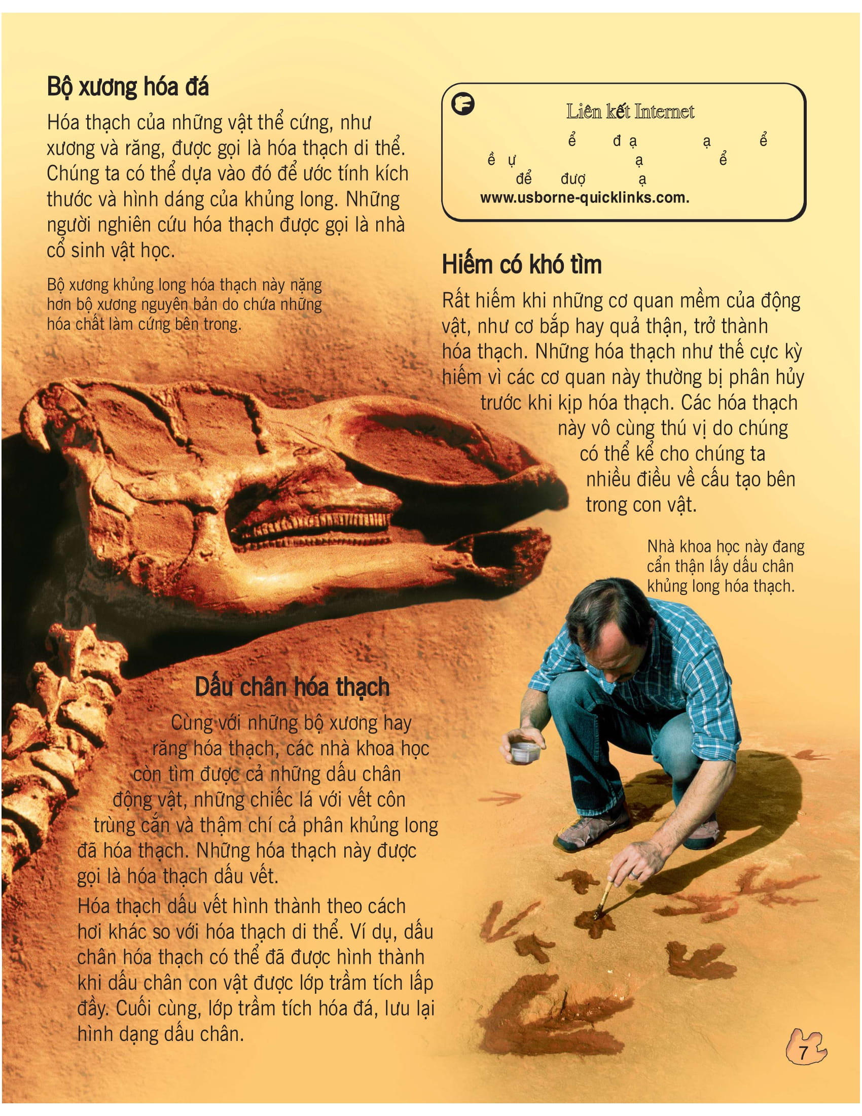 bách khoa tri thức về khám phá thế giới cho trẻ em - khủng long (tái bản 2020)