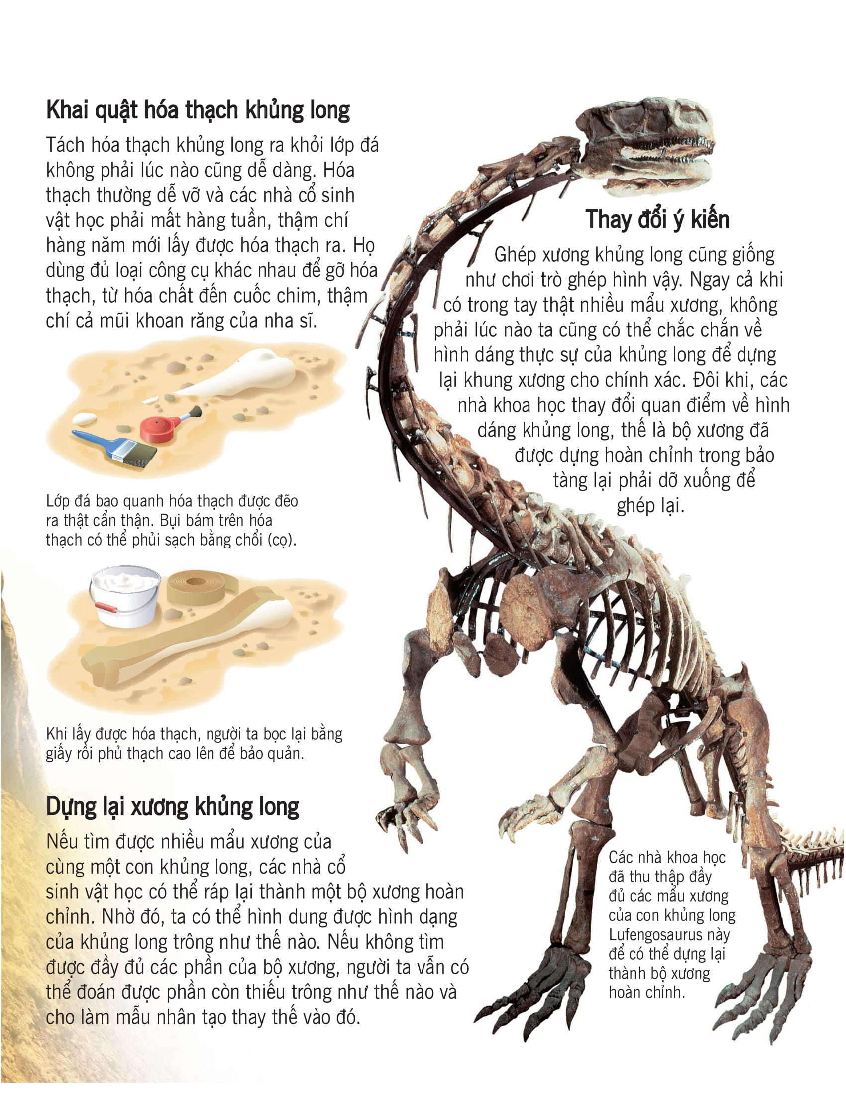 bách khoa tri thức về khám phá thế giới cho trẻ em - khủng long (tái bản 2020)