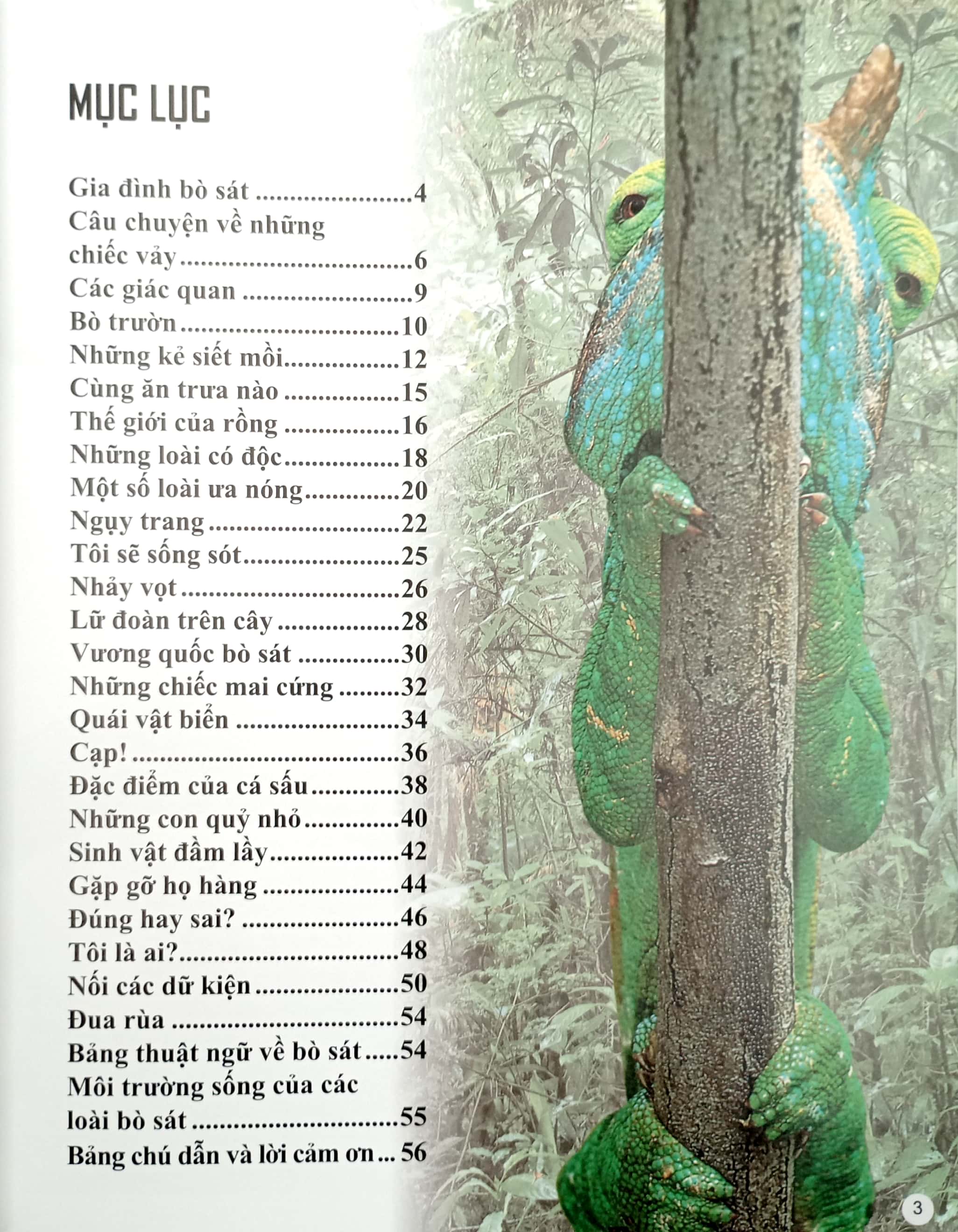 bách khoa tri thức về khám phá thế giới cho trẻ em - reptiles - bò sát