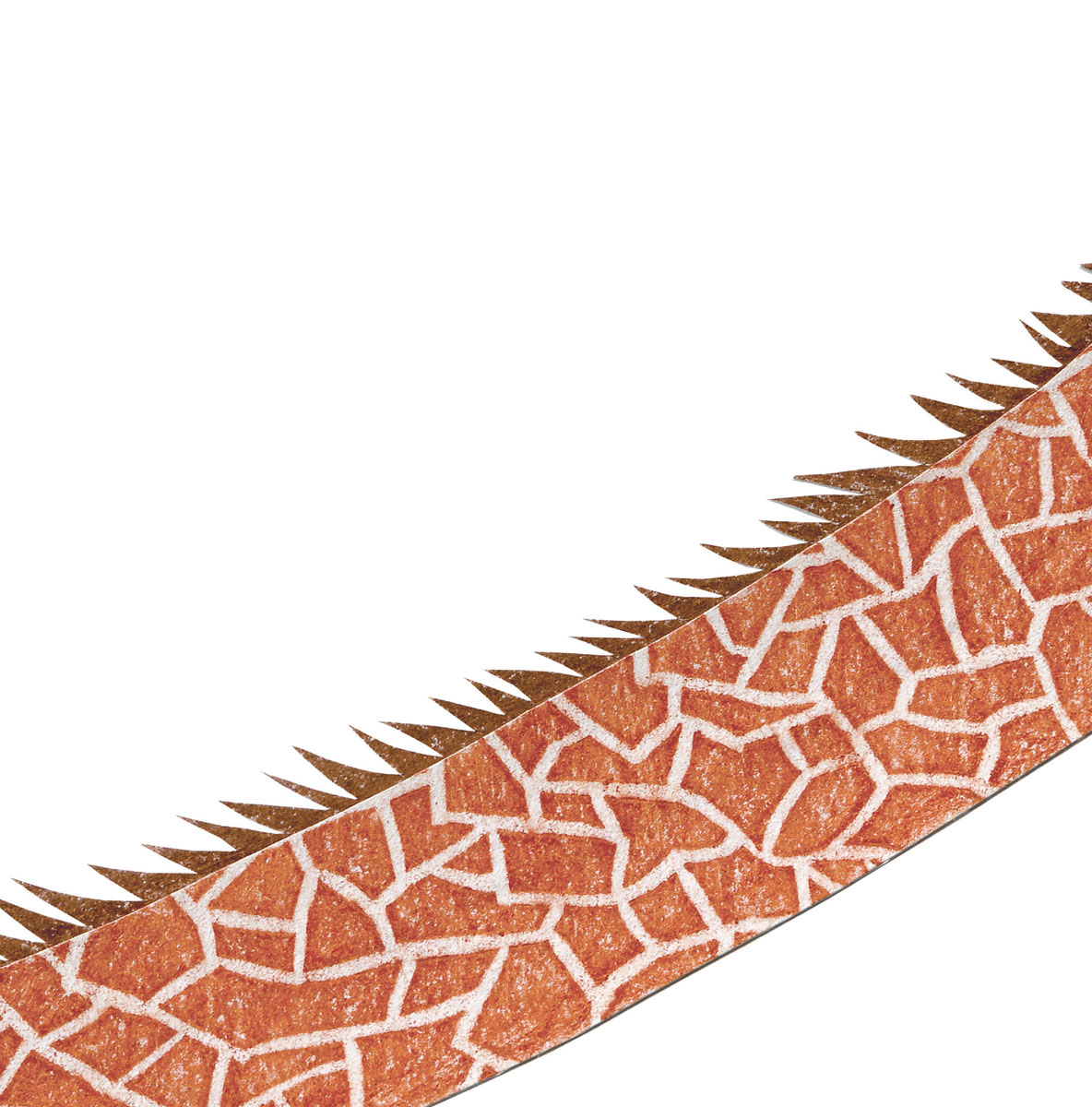 bạch tuộc biết tuốt - ai giành giải nhất?