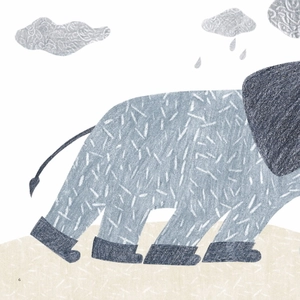 bạch tuộc biết tuốt - ai mua ô nào?