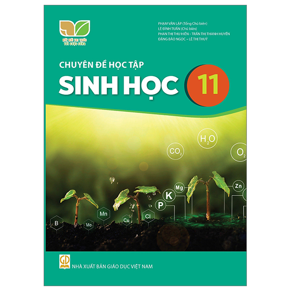 Bài Tập Địa Lí 11 (Kết Nối) (Chuẩn) - Ảnh 11