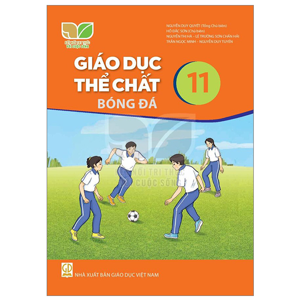 Bài Tập Địa Lí 11 (Kết Nối) (Chuẩn) - Ảnh 47
