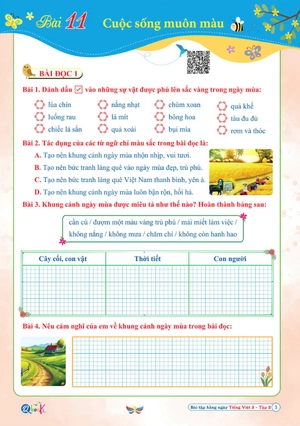 bài tập hằng ngày tiếng việt 5 - tập 2 (cánh diều)