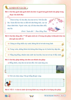 bài tập hằng ngày tiếng việt 5 - tập 2 (cánh diều)