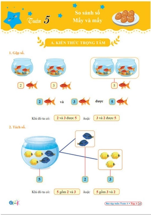 bài tập tuần toán 1 tập 1 (kết nối tri thức với cuộc sống)