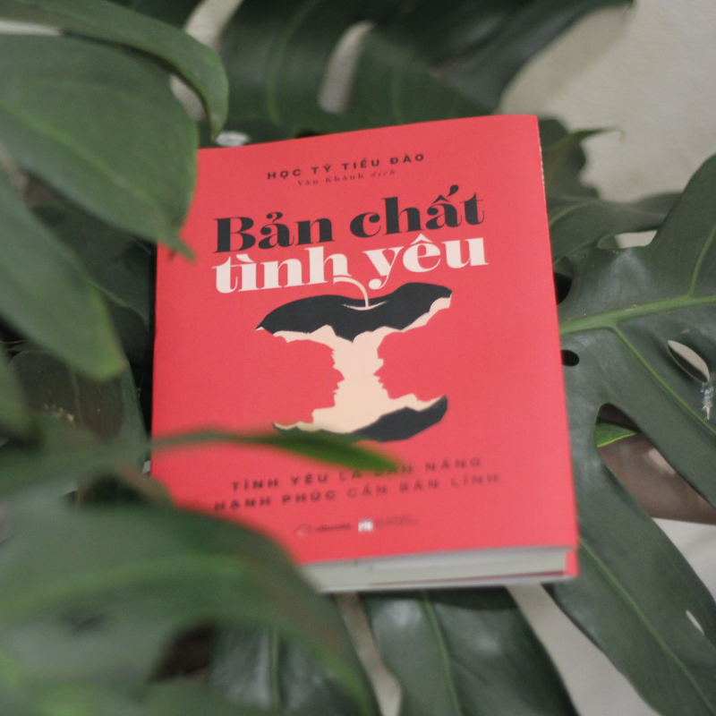 Ban Chat Tinh Yeu - Tinh Yeu La Ban Nang - Hanh Phuc Can Ban Linh