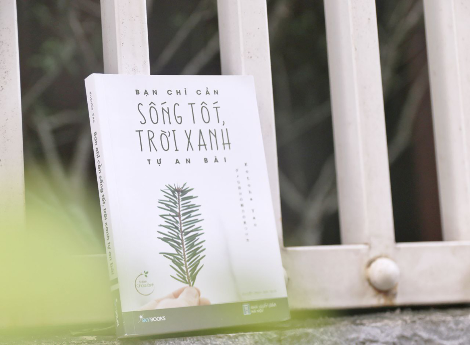 bạn chỉ cần sống tốt, trời xanh tự an bài (tái bản 2022)