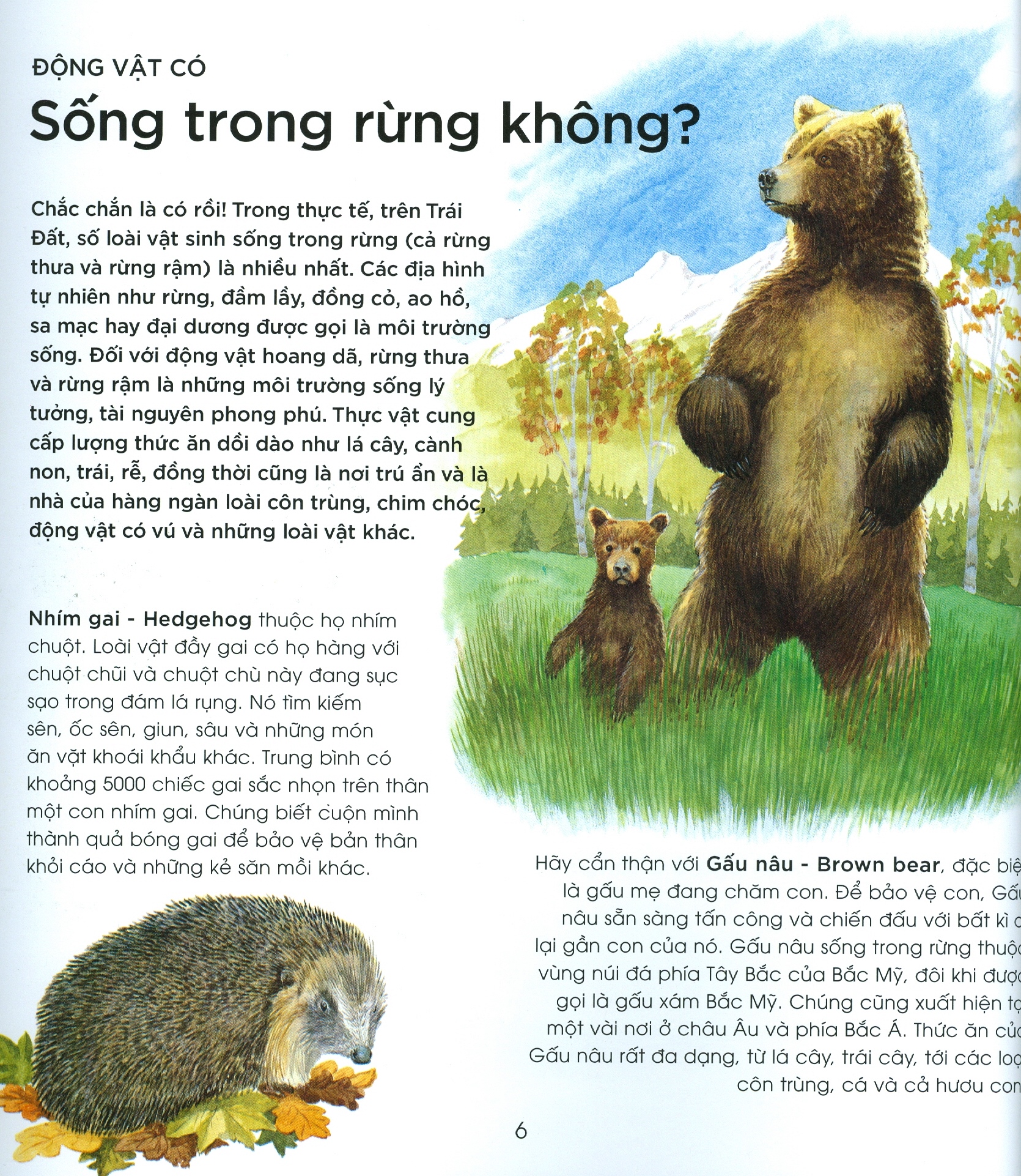 bạn có biết: động vật có cần che ô không? - hỏi đáp về thế giới hoang dã