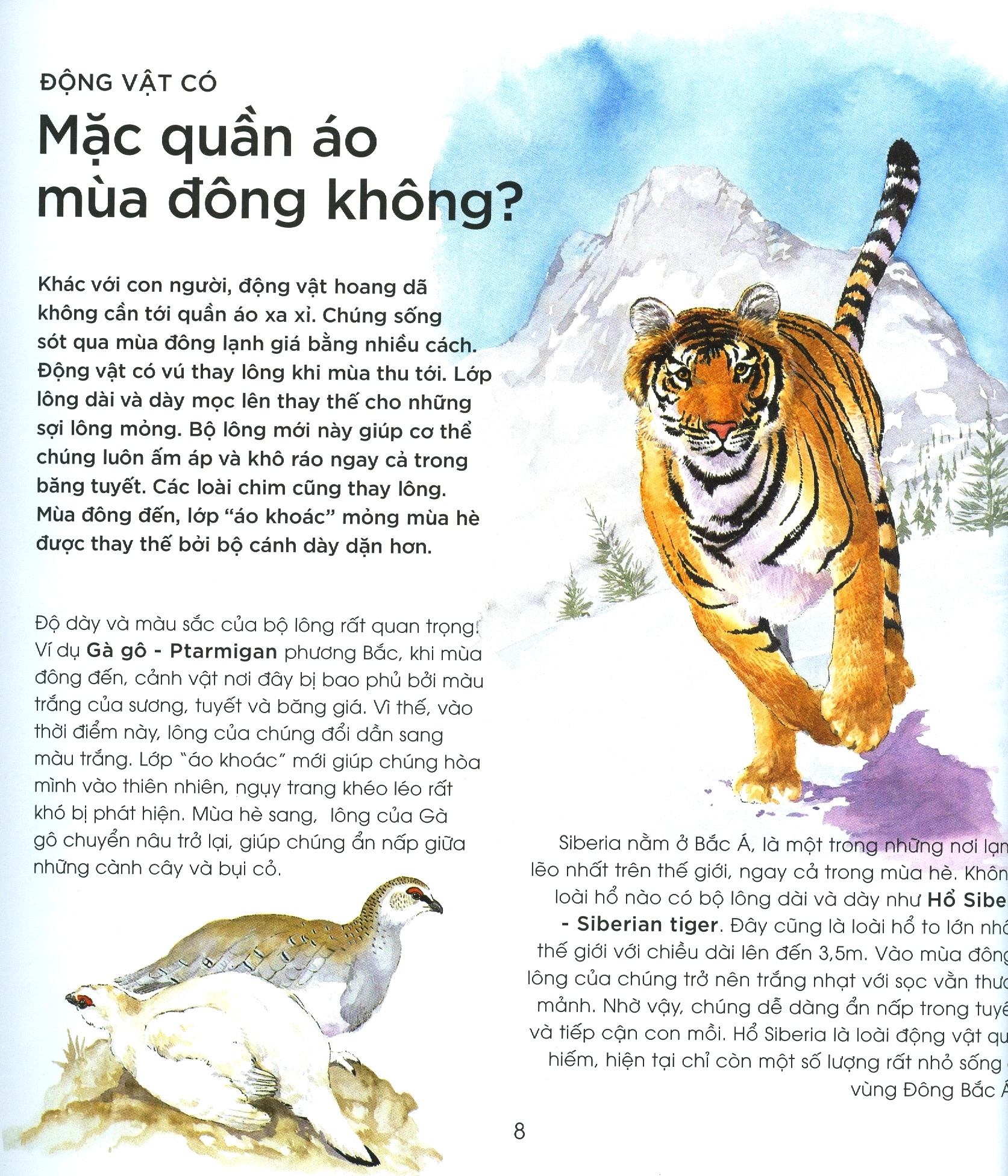 bạn có biết: động vật có cần che ô không? - hỏi đáp về thế giới hoang dã
