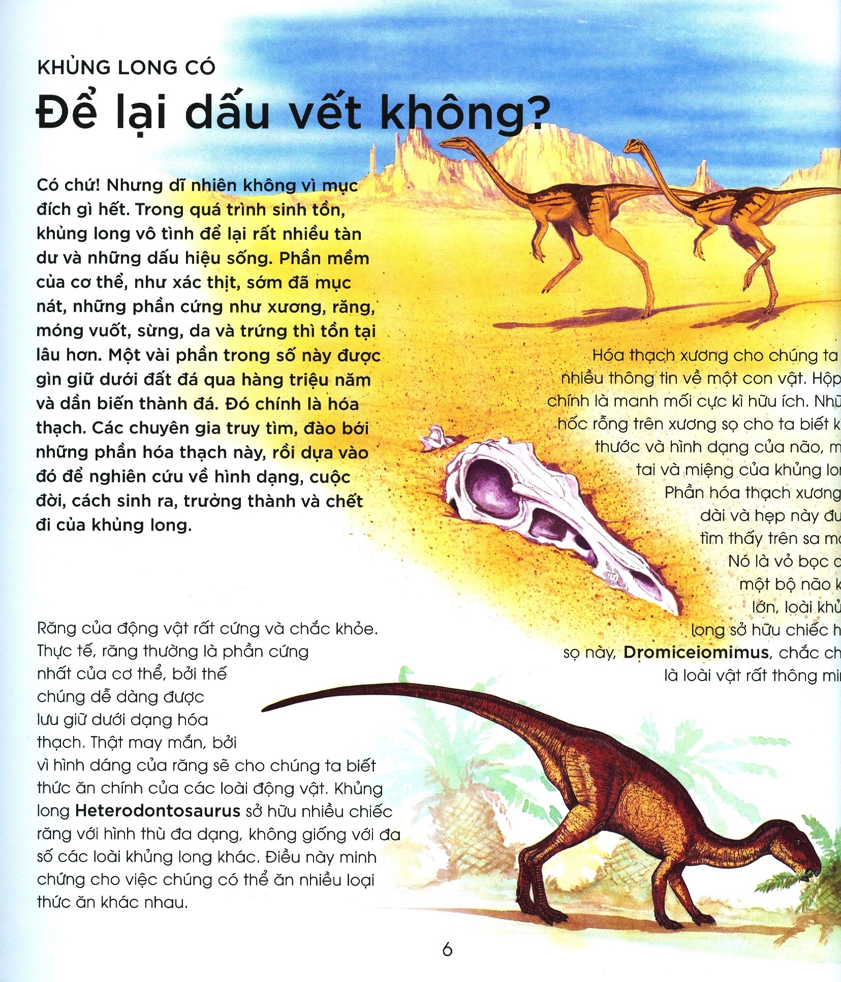 bạn có biết: khủng long có đẻ trứng không? - hỏi đáp về bò sát thời tiền sử