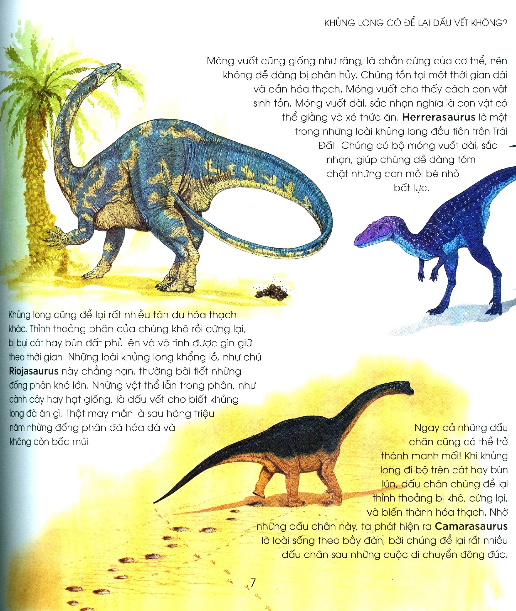 bạn có biết: khủng long có đẻ trứng không? - hỏi đáp về bò sát thời tiền sử