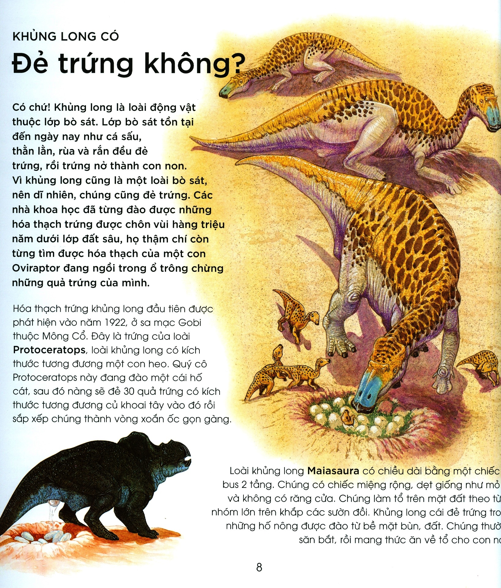 bạn có biết: khủng long có đẻ trứng không? - hỏi đáp về bò sát thời tiền sử