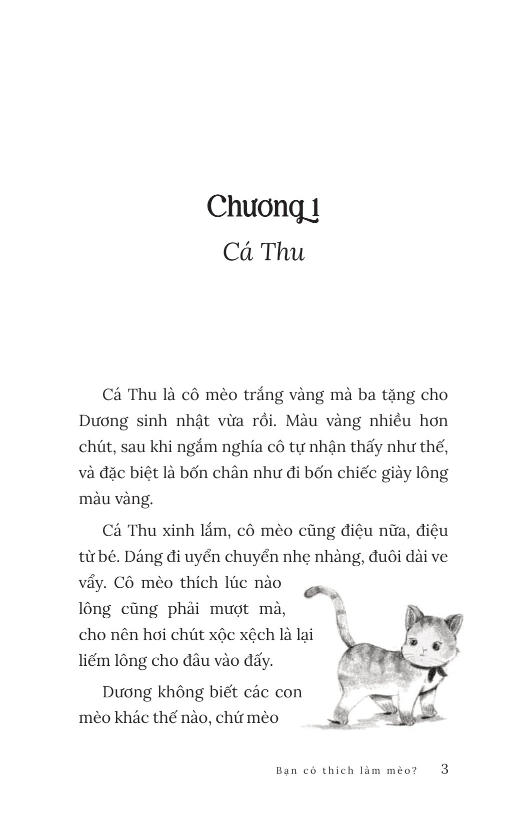 bạn có thích làm mèo?