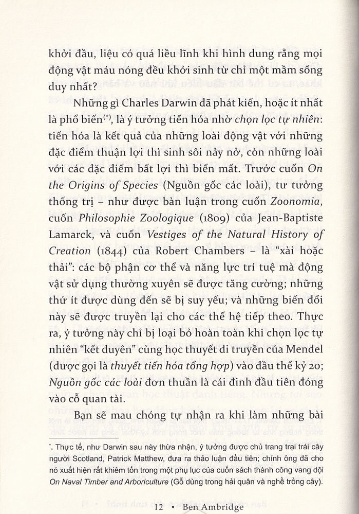 bạn có thông minh hơn con tinh tinh