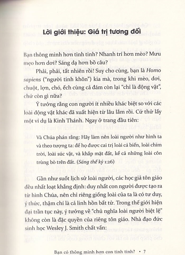 bạn có thông minh hơn con tinh tinh