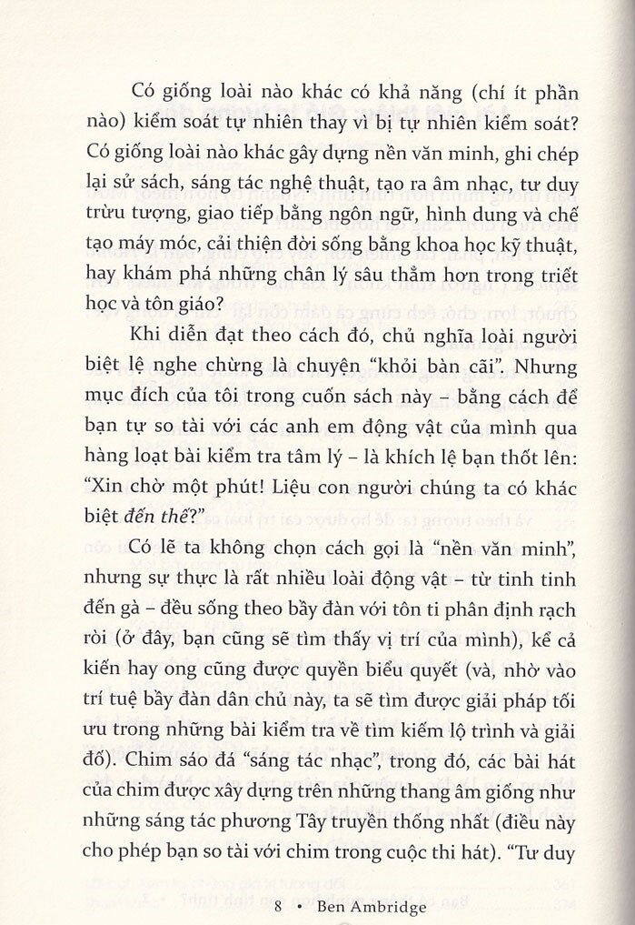 bạn có thông minh hơn con tinh tinh