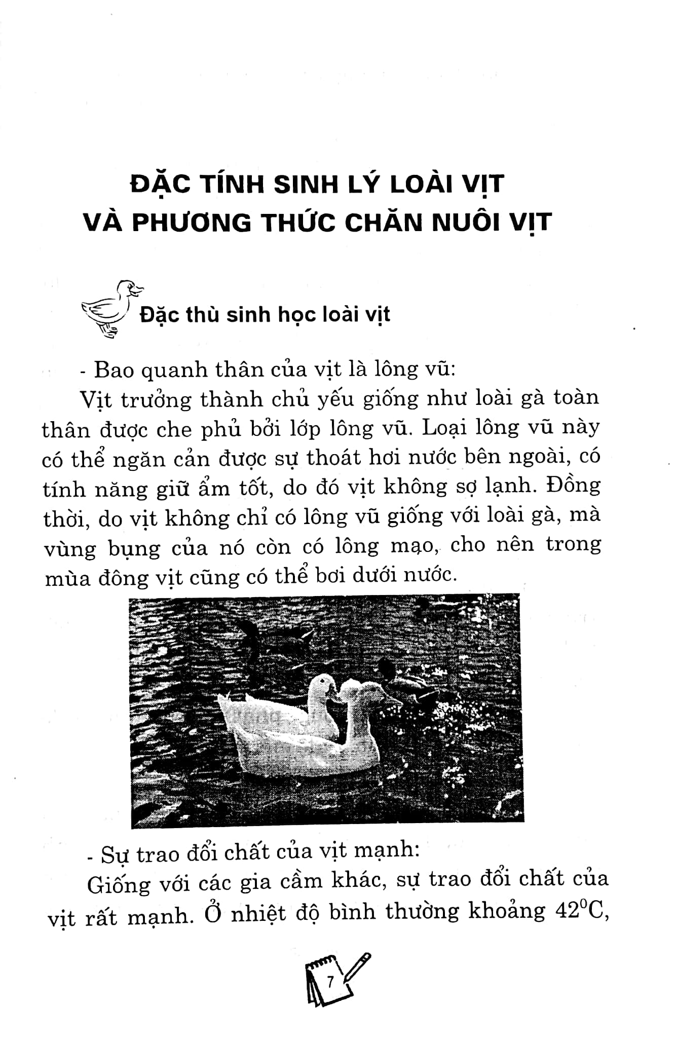 bạn của nhà nông - kỹ thuật nuôi và chăm sóc vịt (tái bản)
