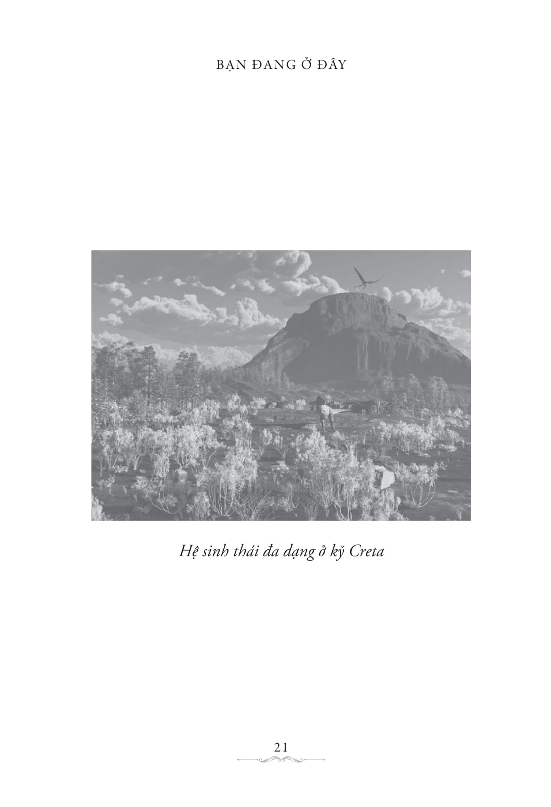 bạn đang ở đây: cuốn sách ngắn về thế giới