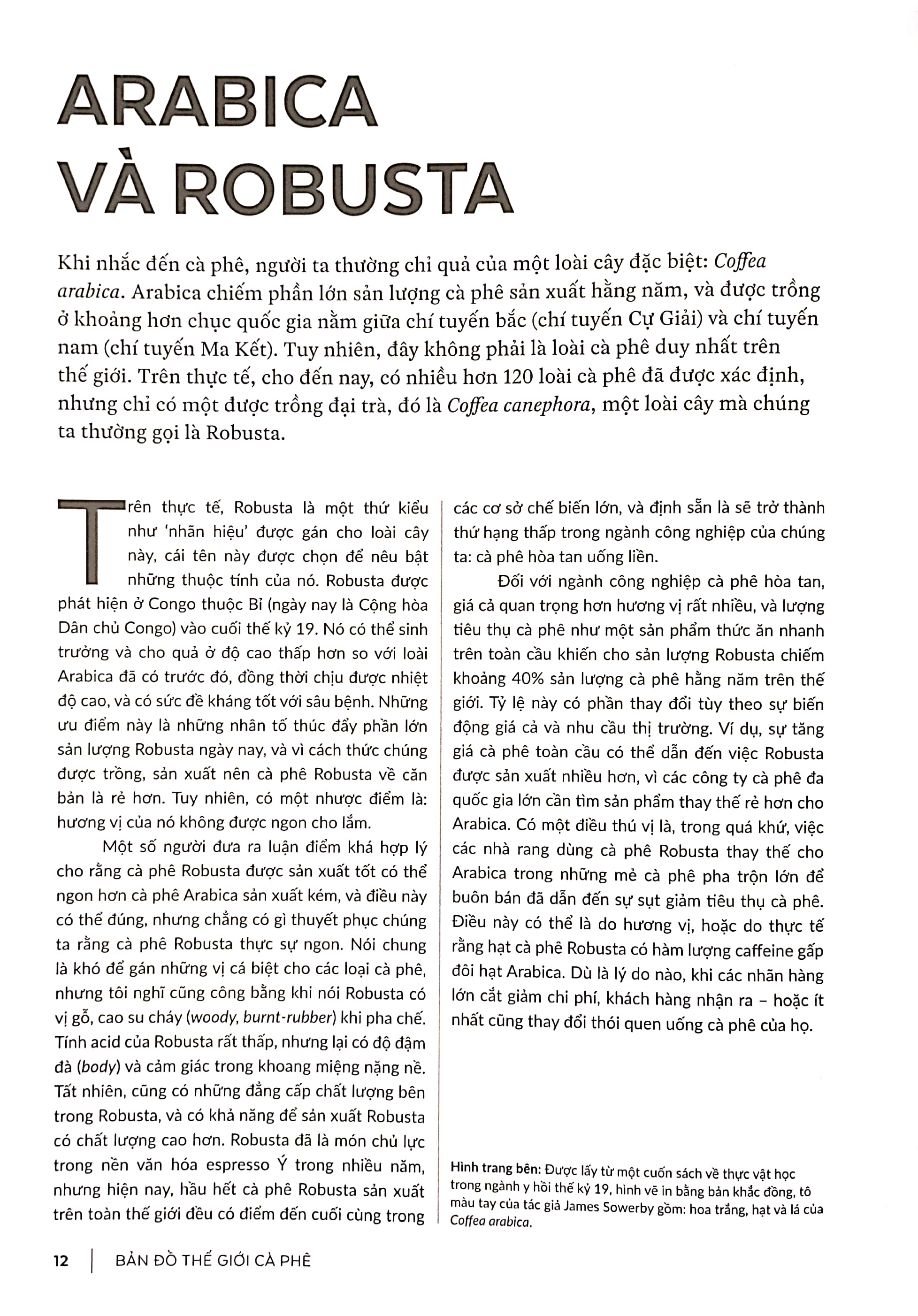 bản đồ thế giới cà phê - từ hạt đến pha chế - khám phá , giải thích và thưởng thức cà phê