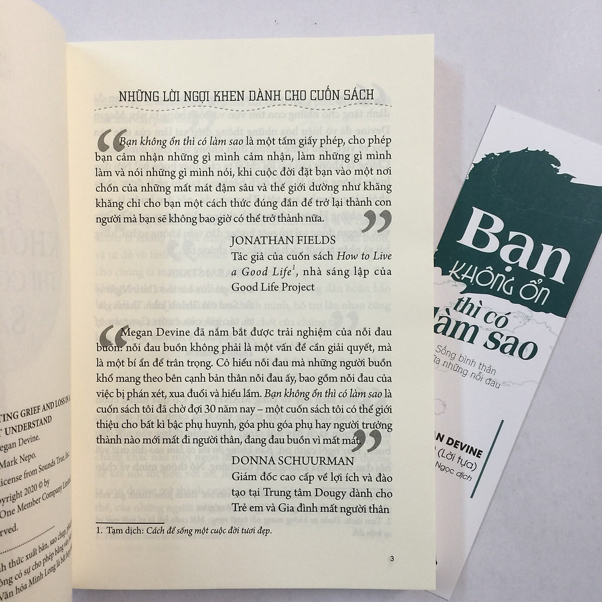 bạn không ổn thì có làm sao