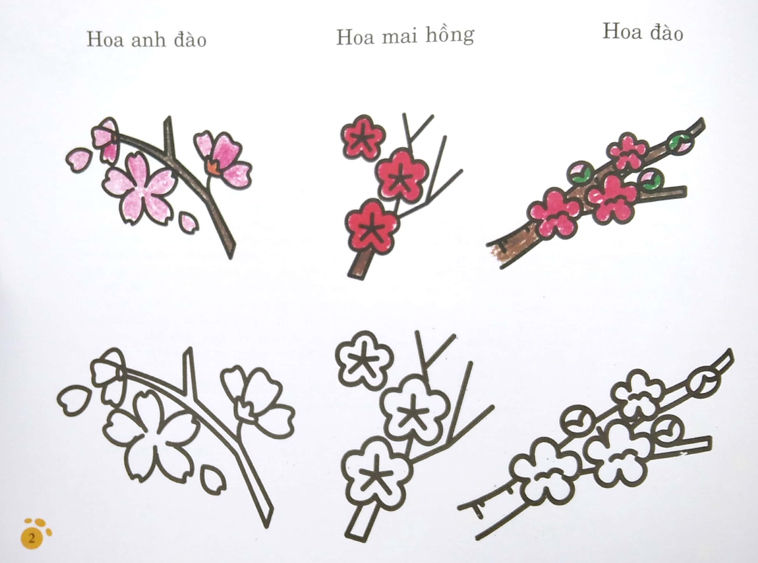 bàn tay nhỏ vẽ tranh - thực vật phong phú