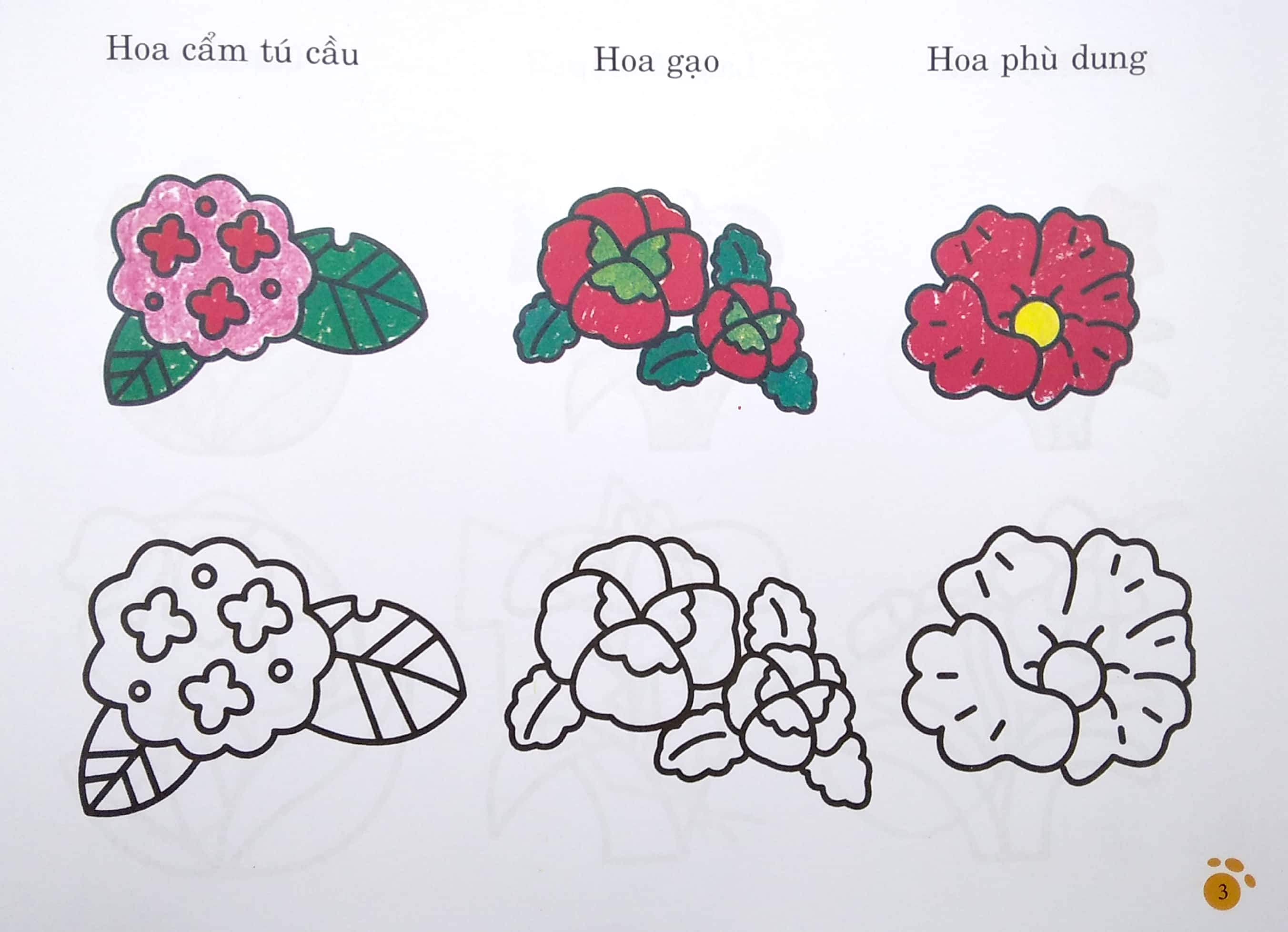 bàn tay nhỏ vẽ tranh - thực vật phong phú