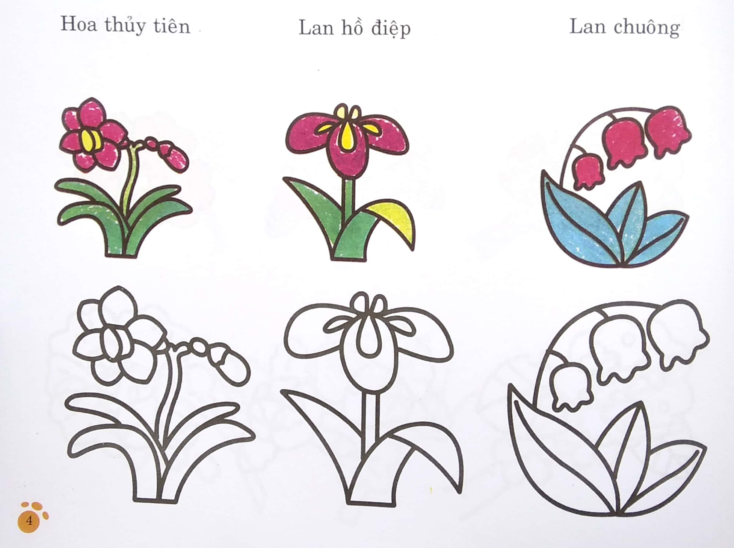 bàn tay nhỏ vẽ tranh - thực vật phong phú