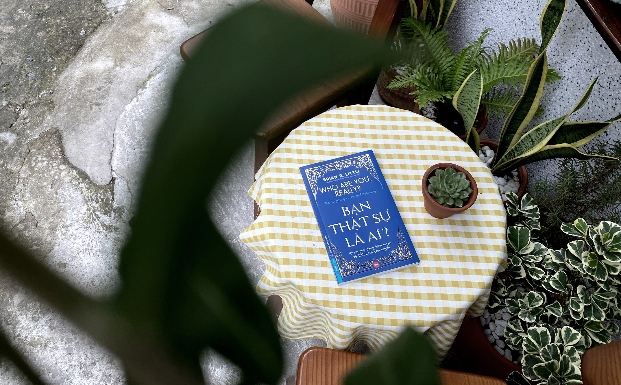 bạn thật sự là ai? who are you, really?