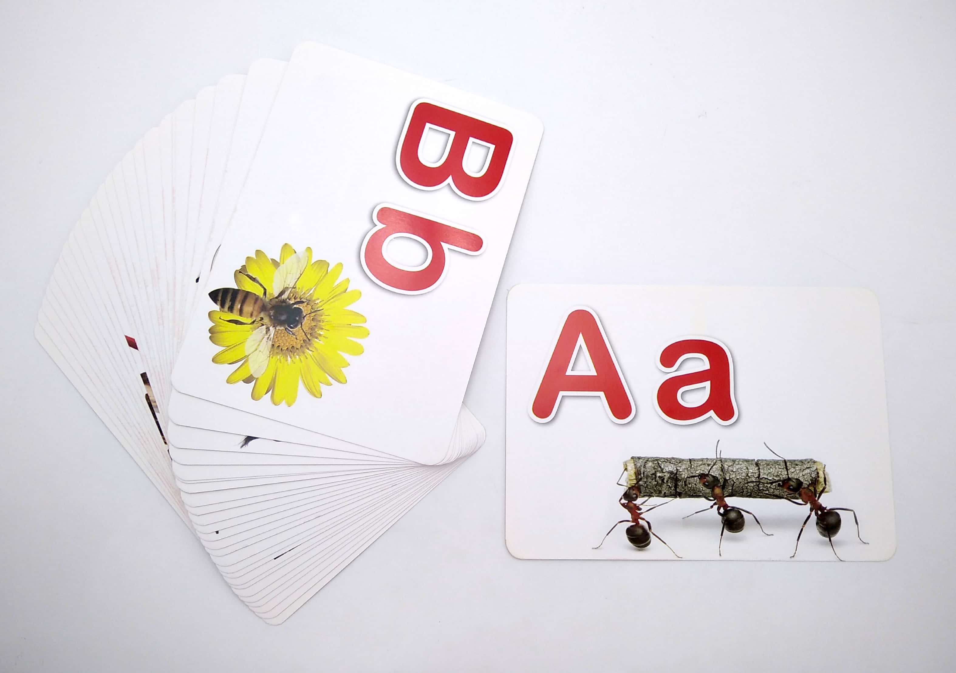 bảng chữ cái tiếng anh - giáo dục sớm thẻ thông minh chuẩn theo phương pháp giáo dục của glenn doman