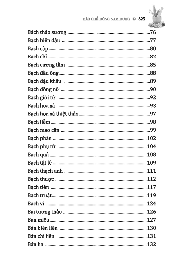 bào chế đông nam dược (bìa cứng)