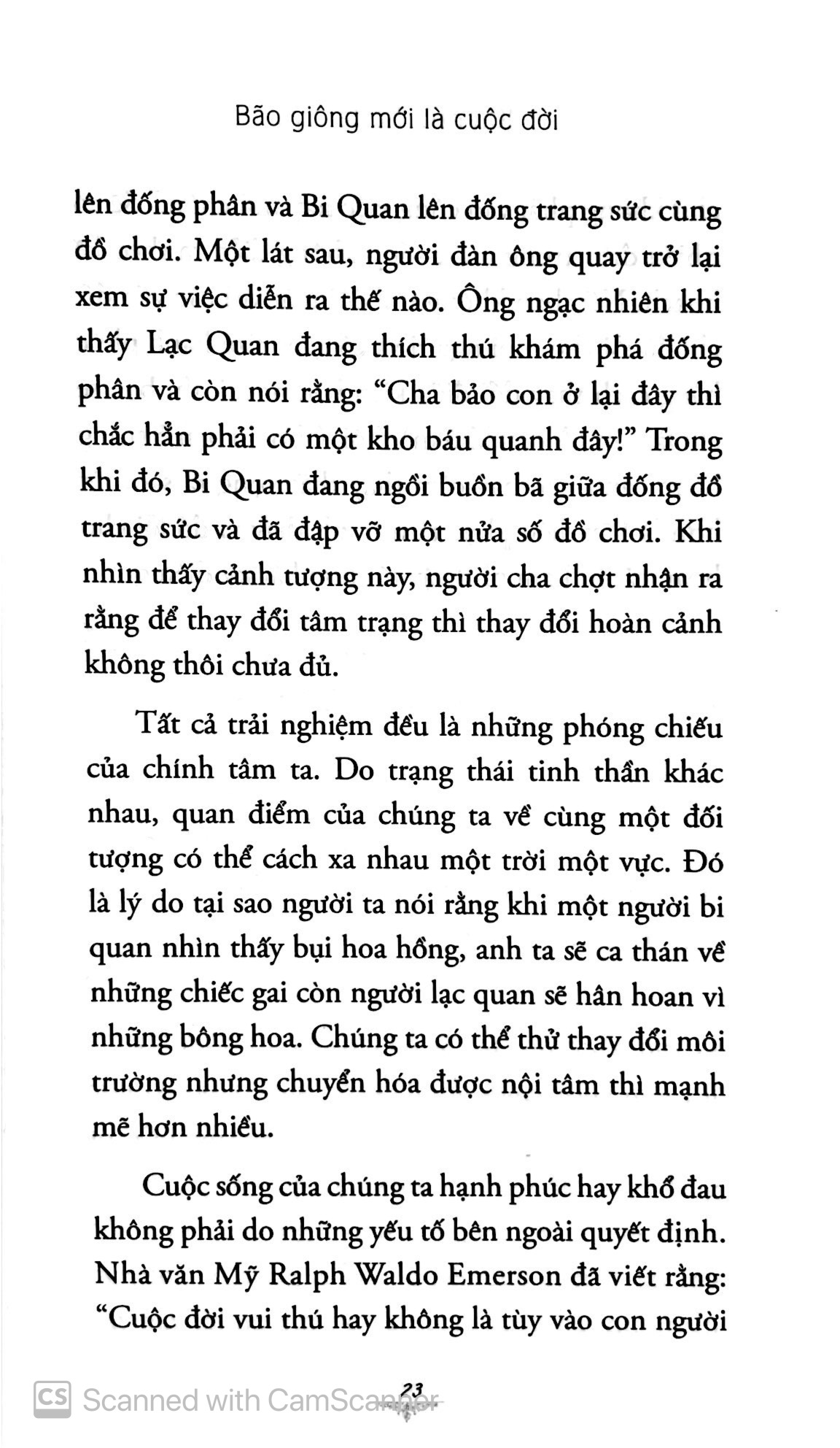 bão giông mới là cuộc đời