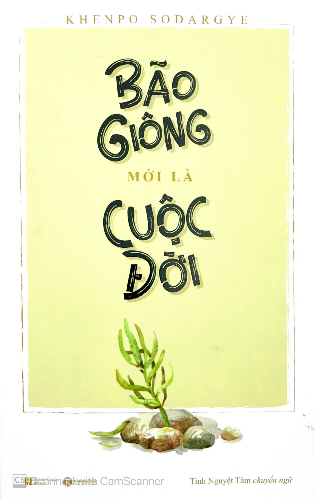 bão giông mới là cuộc đời