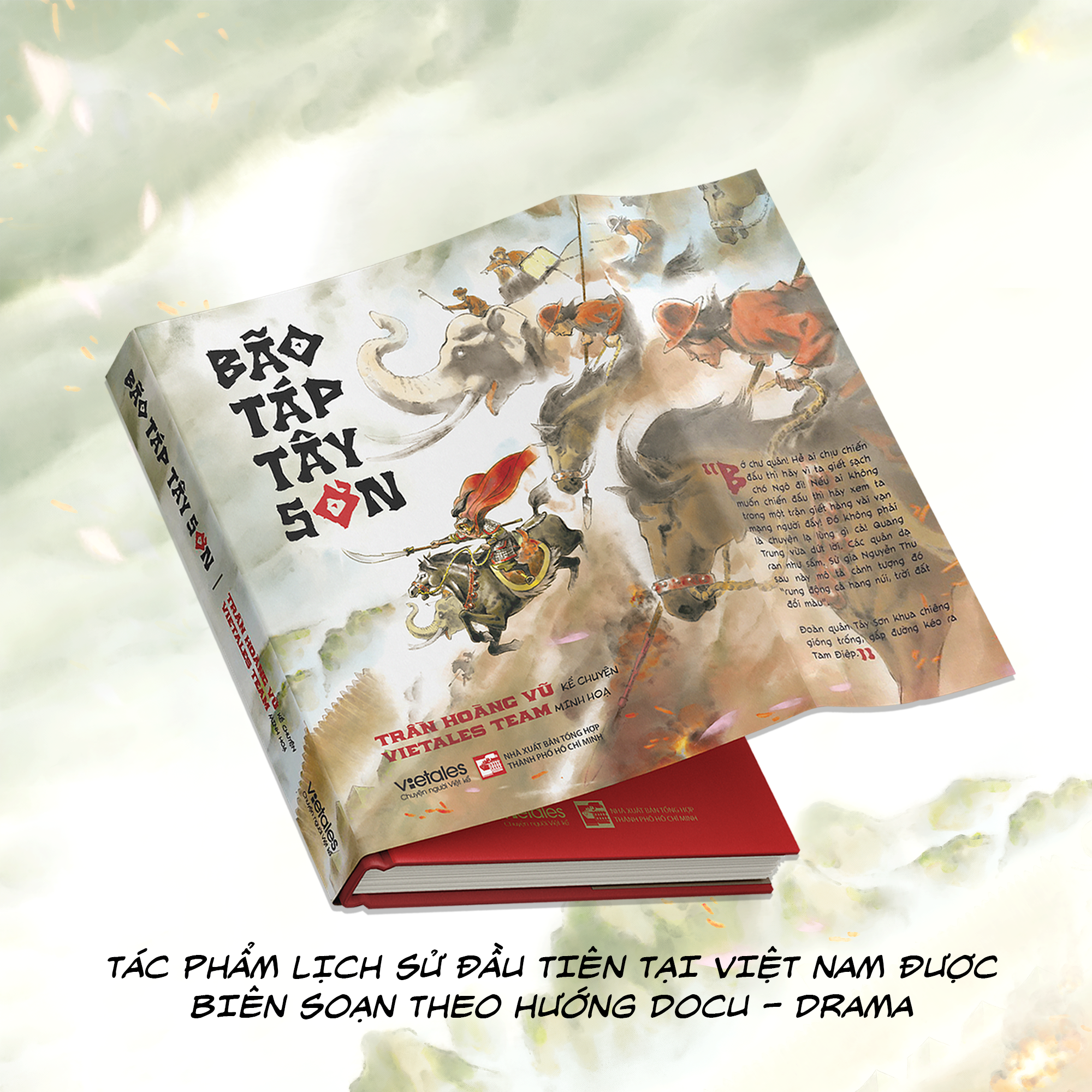 Bão Táp Tây Sơn - Bìa Cứng