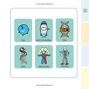 basher science - biology