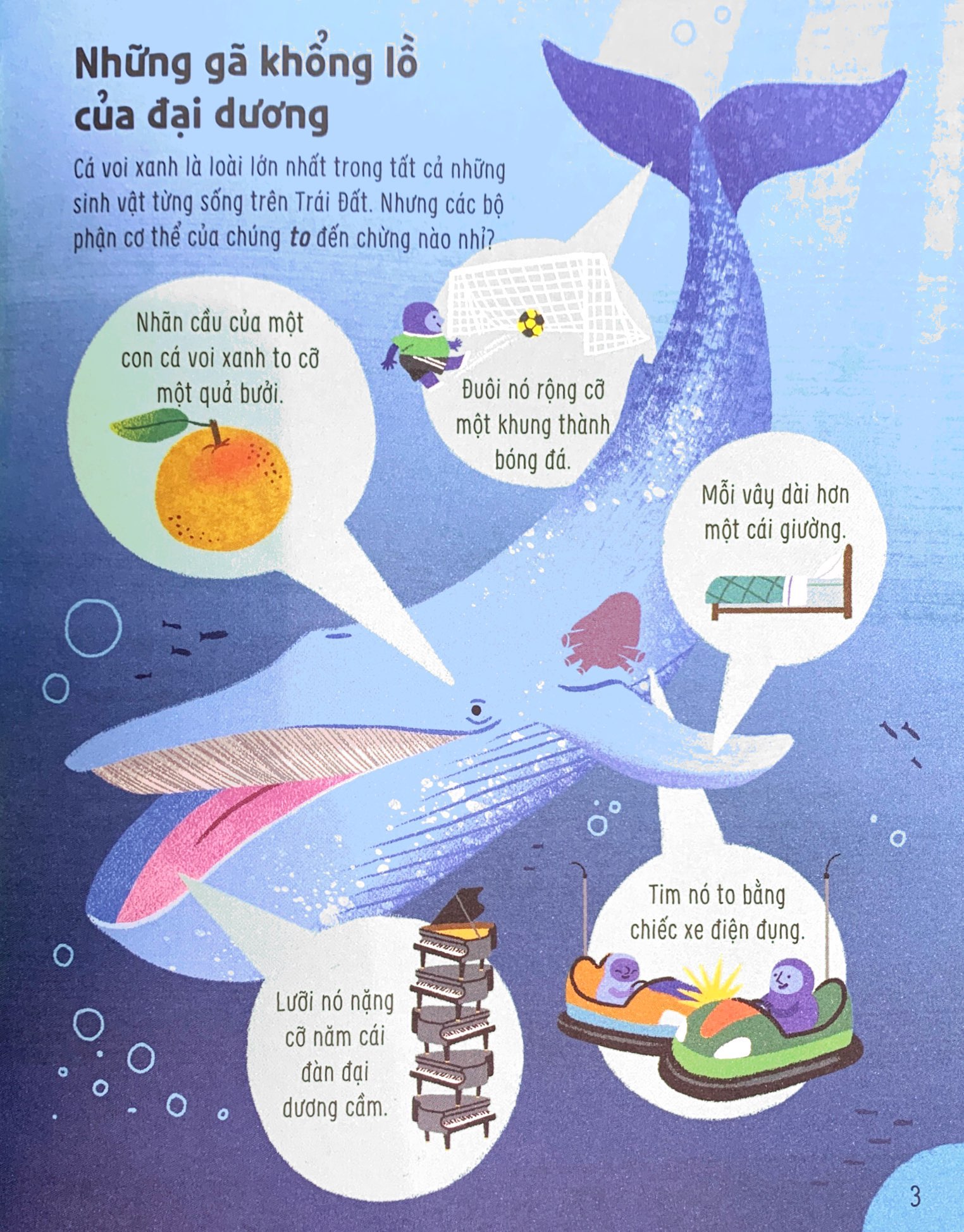 bật mí bí mật về động vật