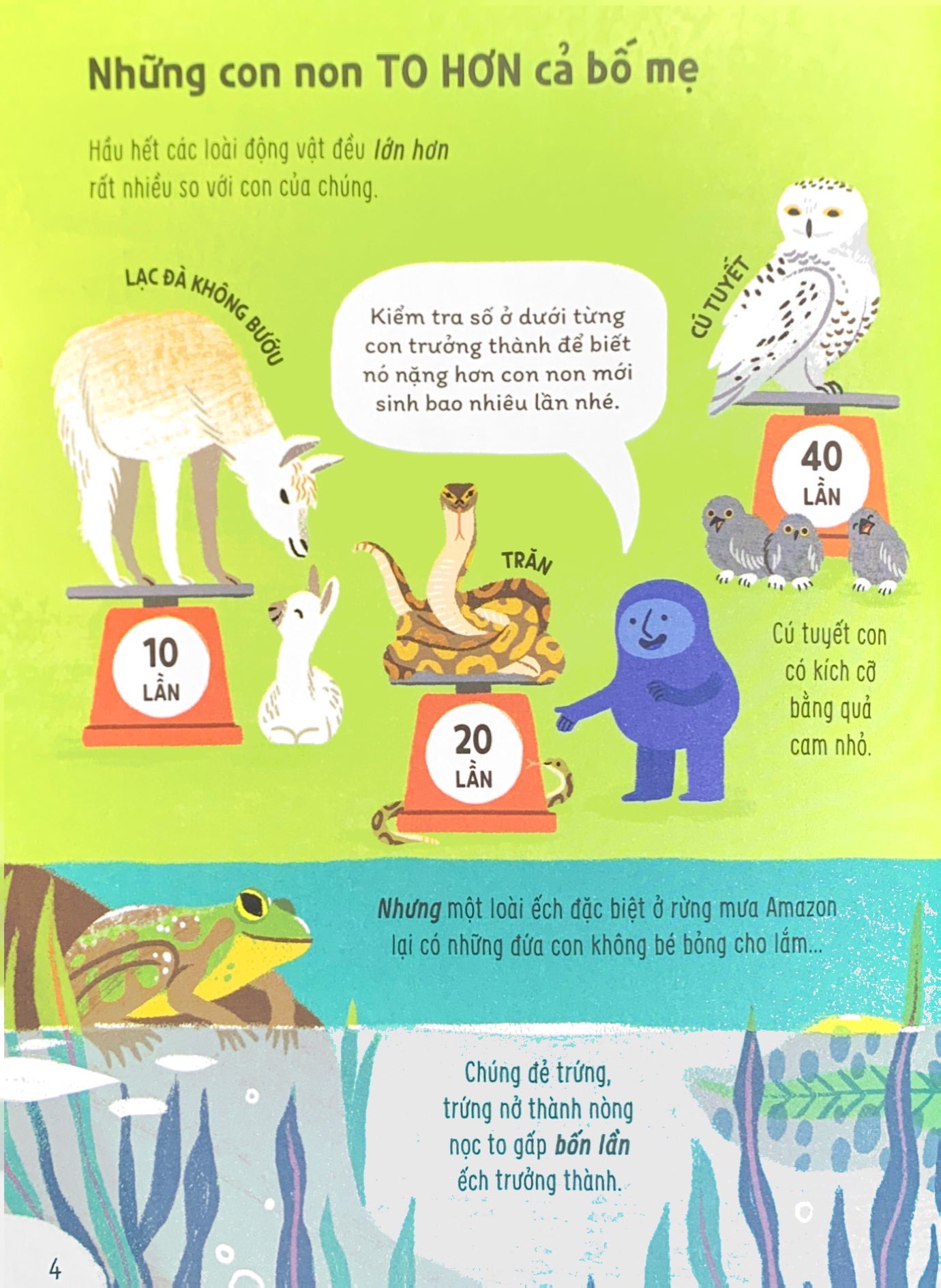 bật mí bí mật về động vật