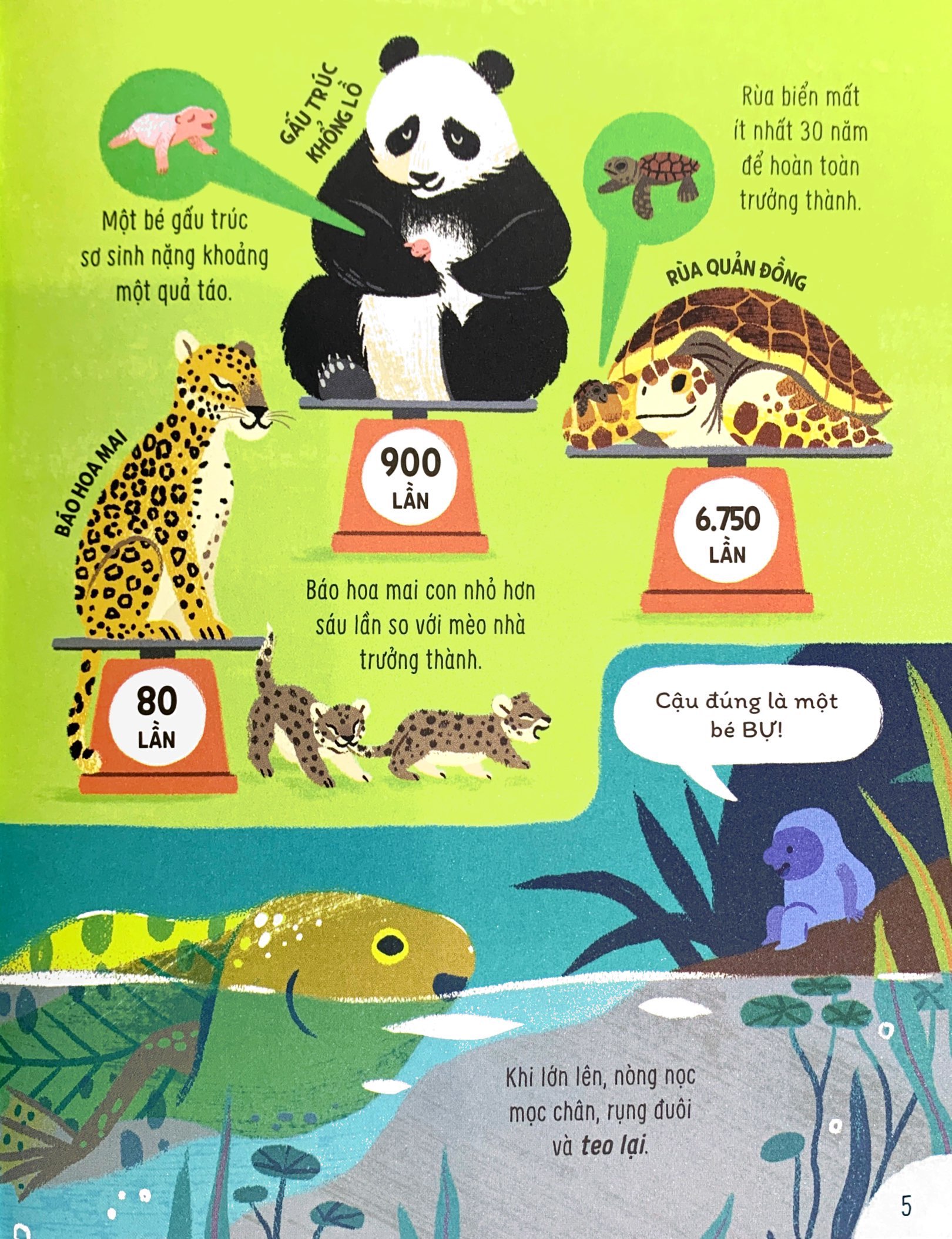 bật mí bí mật về động vật