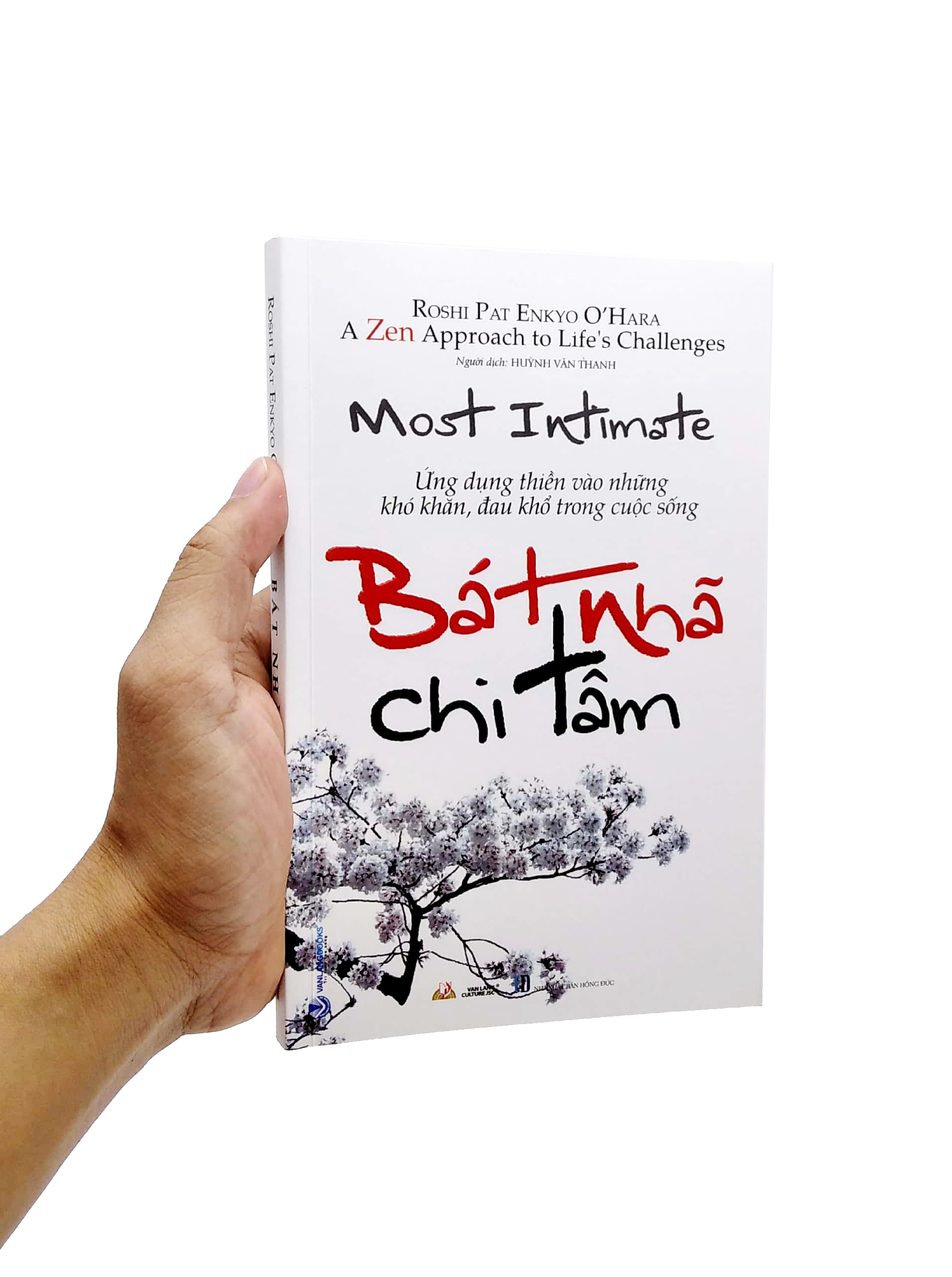 bát nhã chi tâm - ứng dụng thiền vào những khó khăn, đau khổ trong cuộc sống