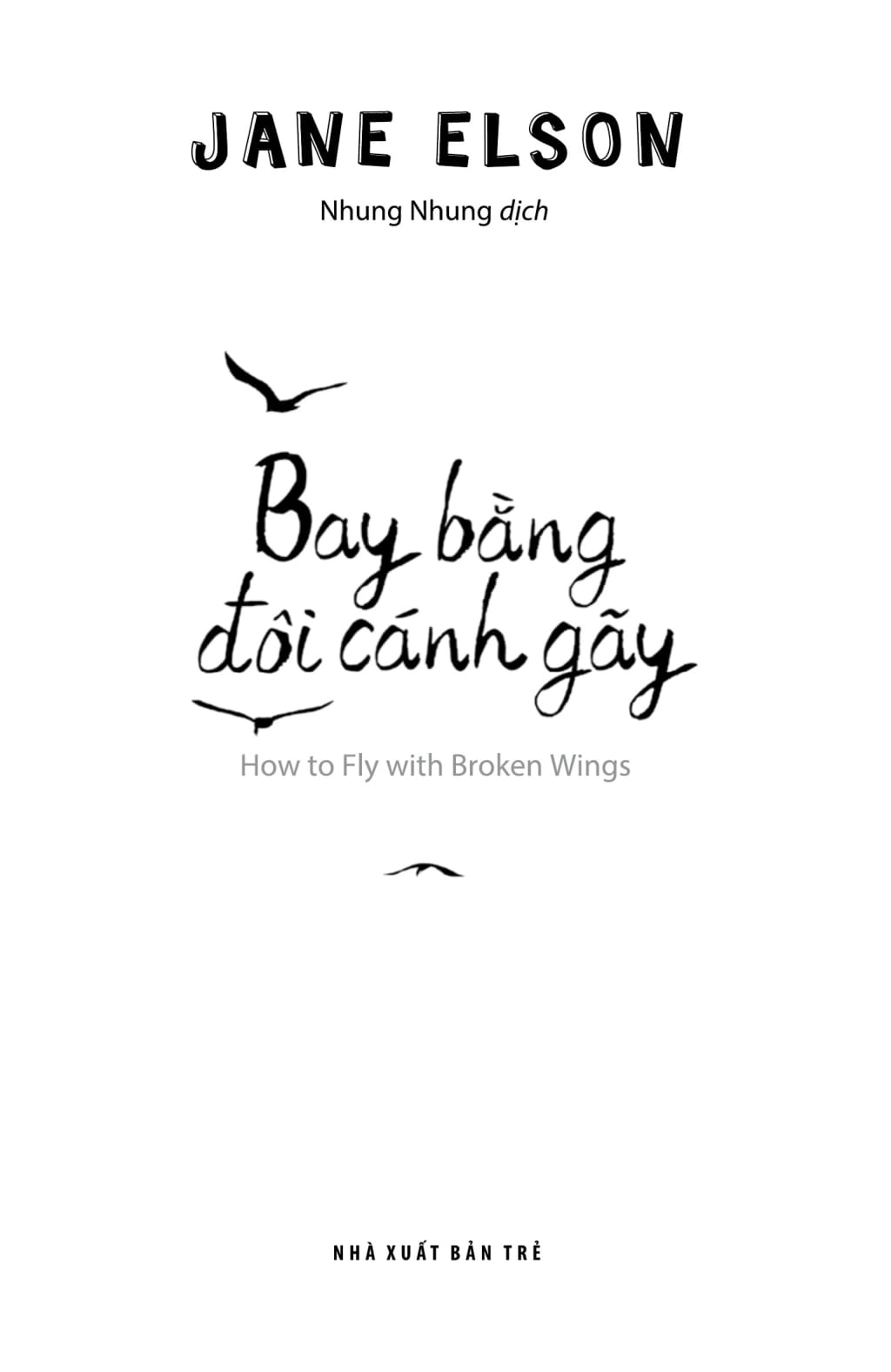 bay bằng đôi cánh gãy - how to fly with broken wings