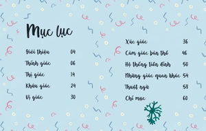 bảy giác quan phi thường - bìa cứng